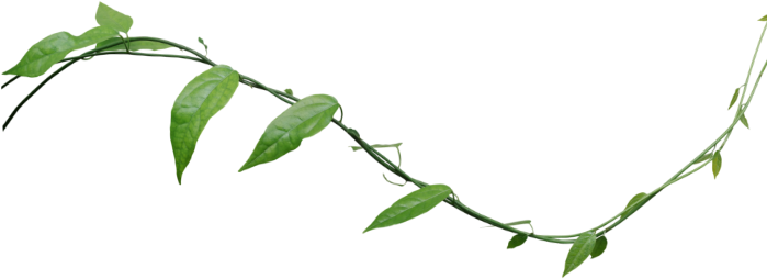 Treescapes Pte. Ltd.