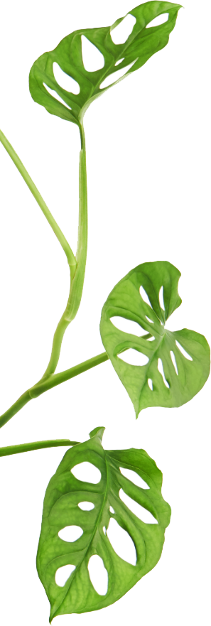 Treescapes Pte. Ltd.