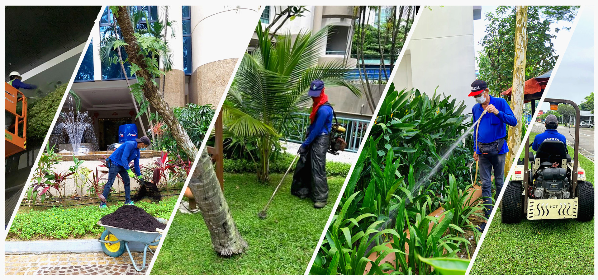Landscape Contract Maintenance